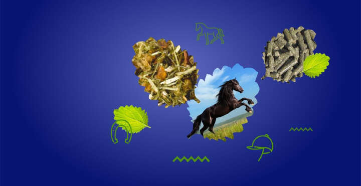 natures best sortimentsuebersicht e banner natures best sortimentsuebersicht e banner
